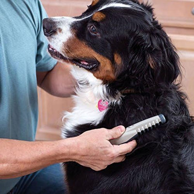 ELECTRIC COMB FOR HAIR TRIMMING AND GROOMING