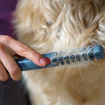 ELECTRIC COMB FOR HAIR TRIMMING AND GROOMING